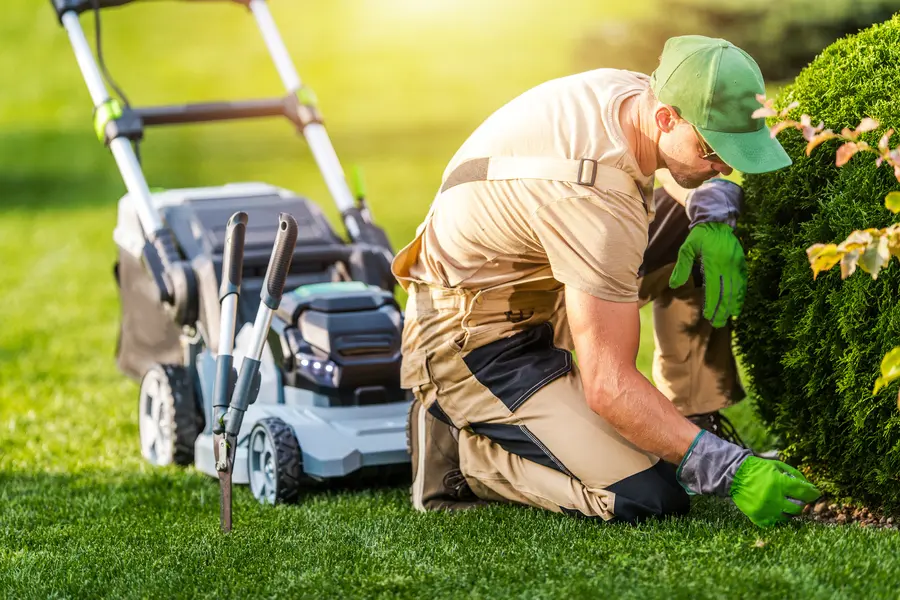 Landscape Maintenance