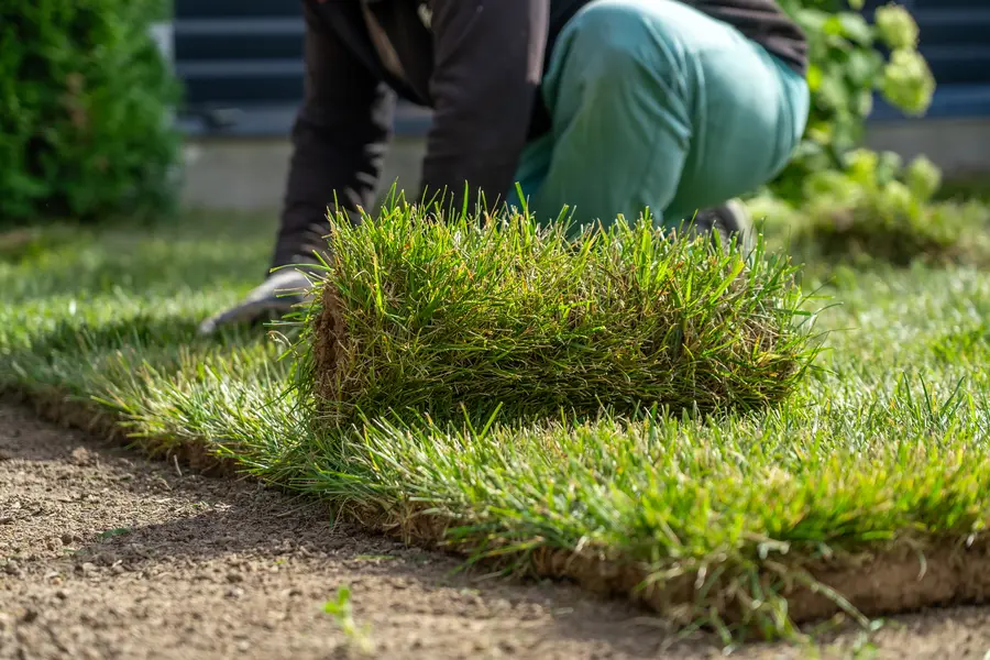 Landscaping Installation